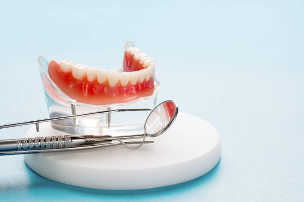 Best Pediatric Dentistry  in Tamaqua, PA